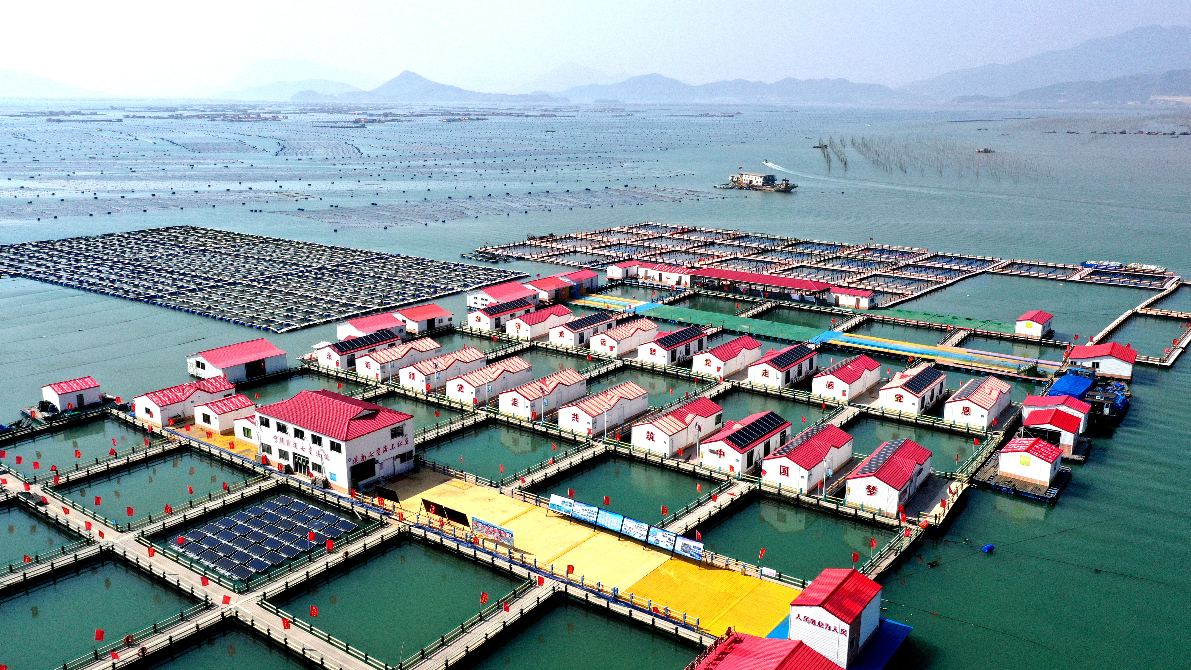 2024年3月20日，福建省寧德市，霞浦縣溪南鎮(zhèn)七星村漁排養(yǎng)殖示范區(qū)，漁民駕駛養(yǎng)殖船進行海參養(yǎng)殖作業(yè)。