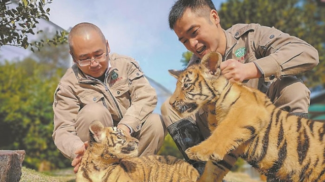 生物多樣性保護(hù)，福建“投資”有道