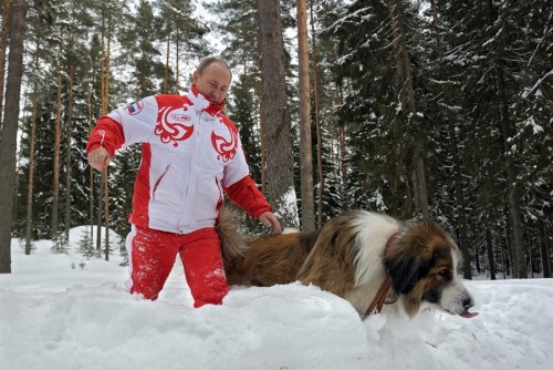 普京帶著寵物犬在雪地里散步。