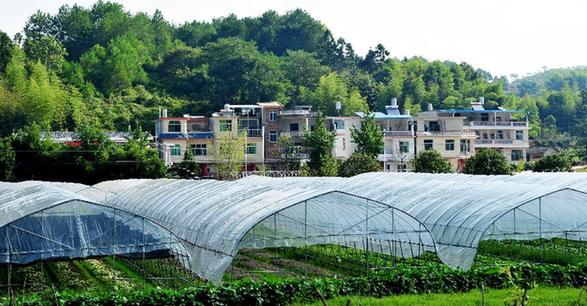 （走基層 聽民聲）（4）福建長?。何羧斩d坡地 今日花果山