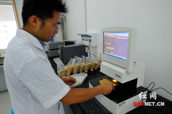 一分鐘檢定稻谷的重要指標(biāo)，湖南省糧油產(chǎn)品質(zhì)量監(jiān)測中心將投入國內(nèi)最先進的設(shè)備為夏糧收購服務(wù)。