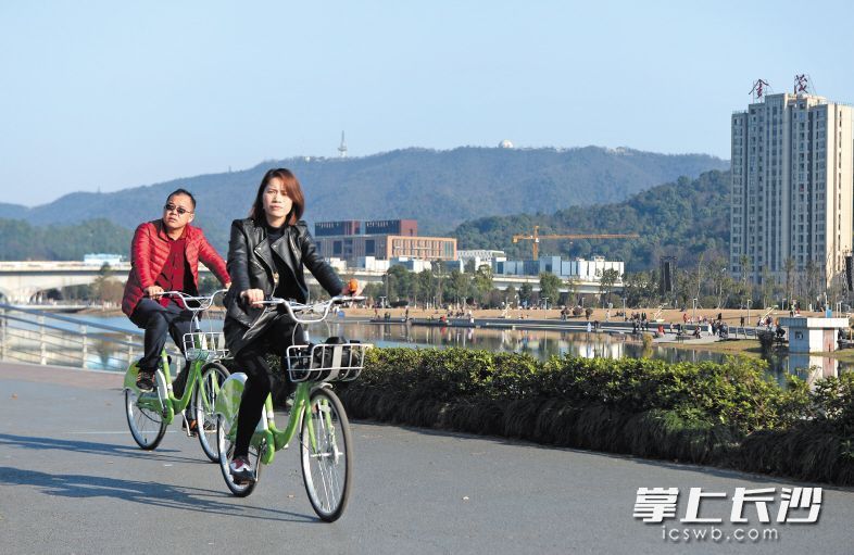 梅溪湖畔，市民們騎著共享單車賞景。長沙晚報記者 鄒麟 攝
