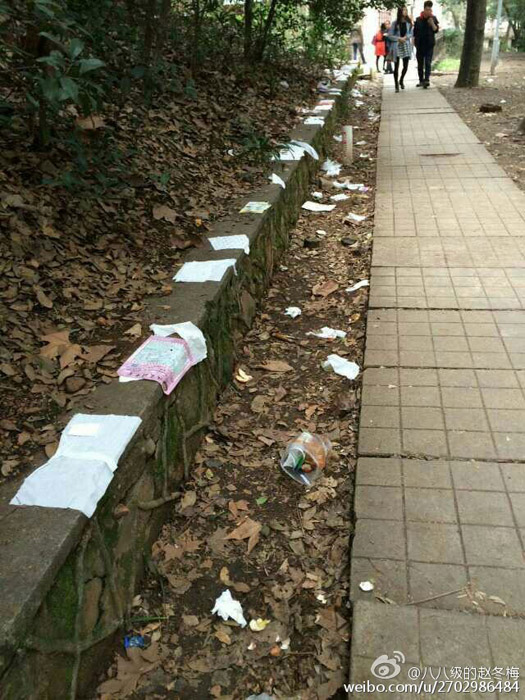 造花雨、扔垃圾 賞櫻游客的不文明行為