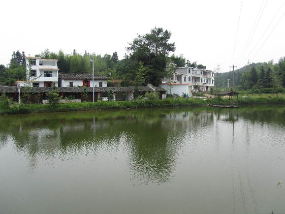 南坑村村容整潔，環(huán)境優(yōu)美。