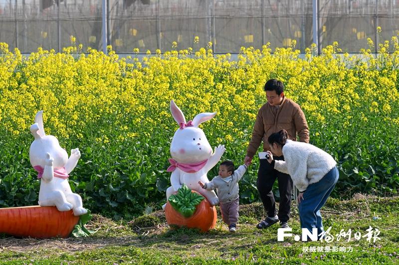 福州百花盛開，“賞花經(jīng)濟(jì)”如何持久綻放？